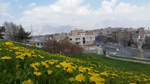 مجسمه فرنگیس حیدری (رشید بانو کرد مسلمان)