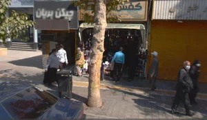 کفش سعادت