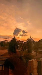 بوستان منطقه ۶