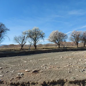 دهیاری روستای مراغه