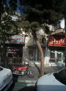 فرش بوستان 2