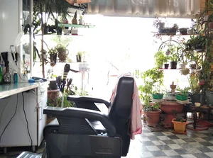پیرایش سورنا