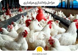 مرغداری بهران