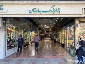 شیک شو