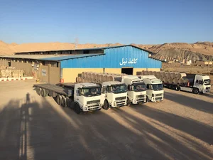 شرکت کاغذ نیل