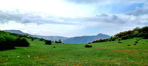 دشت سردانسر