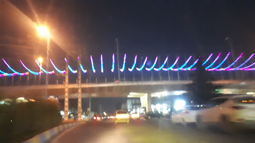 پل حاج محسن