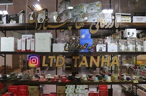 بازرگانی تنها پیشتازان