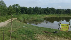 استخر پرورش ماهی کاظمی 3
