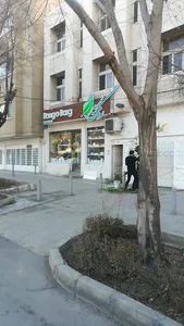 گلفروشی رنگ و برگ