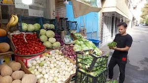 میوه فروشی احمدی
