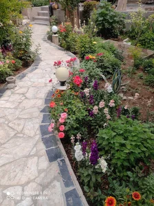 خانه باغ هلو