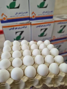 تخم مرغ روز حسین زاده