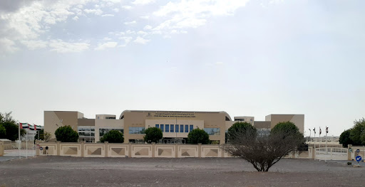 مدرسة البردي