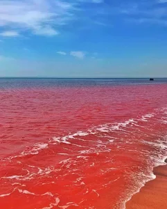 ساحل سرخ