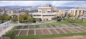 دانشگاه علوم پزشکی یاسوج