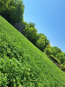 باغ هیره