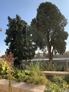 مسجد حاج میرزا هادی امامی