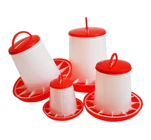 Rooster poultry equipment