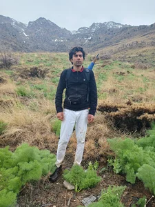 چشمه ریزک