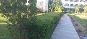 دارالعلوم مدرسه امام ابوحنیفه(رحمه الله)