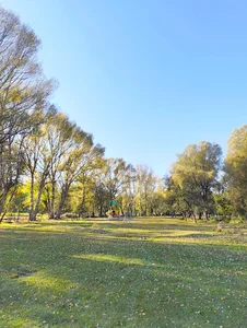 پارک شهرداری
