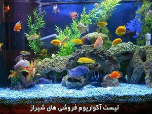 آکواریوم بلو