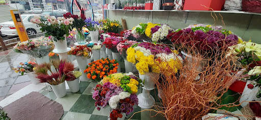 گل سرای رضا