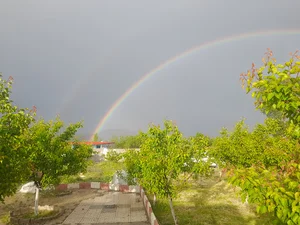 تالار ارک