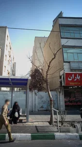 دکتر مریم ملک زاده