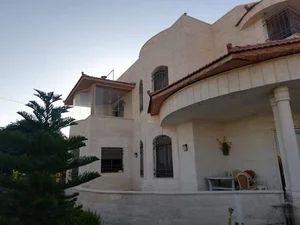 صادق جدوع السليطي