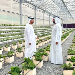 مزرعة حتا النموذجية للفراولة / Hatta Concept Farm