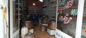 تولید گلاب و عرقیات(ابهررود)