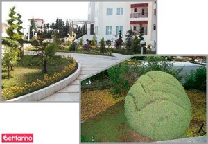 آرامش سبز تهران 2