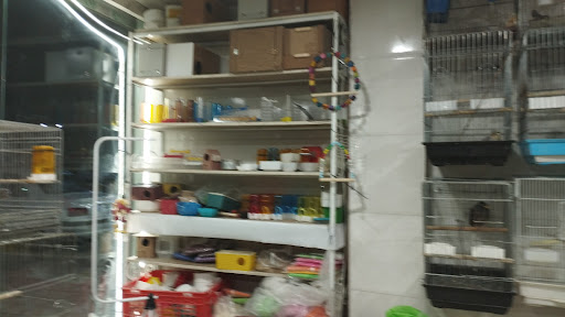 پرنده سرای زینتی