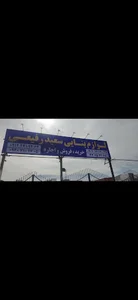 سعید رفیعی