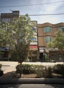 گیاهان داروئی گل ختمی 2