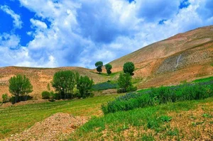 ولسوالی مرکز بهسود