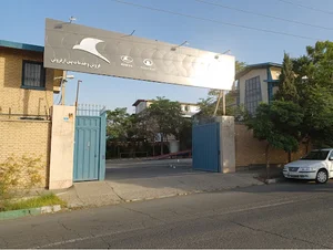پرستوی آبی ارگ