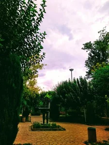 بوستان هنرمندان 5