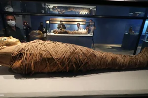 ترمووود