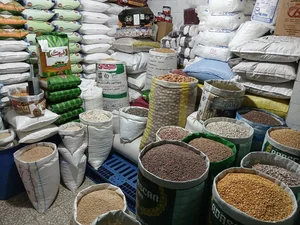 حبوبات دهکده سبز 5