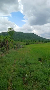 فرمانداری بانه