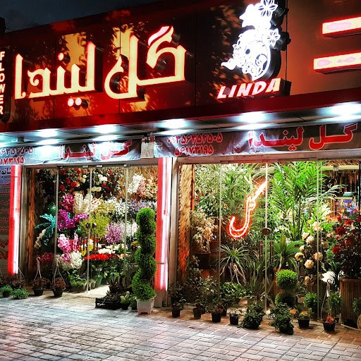 گل لیندا