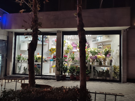 گلفروشی کلاه فرنگی