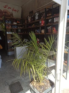 آجیل رضا خشکباری