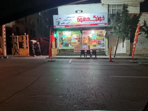 خونگی فود شادان