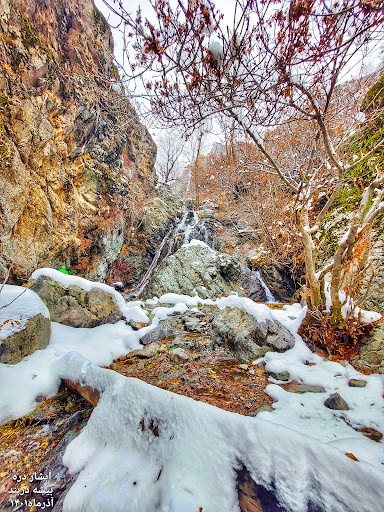 بیشه دربند