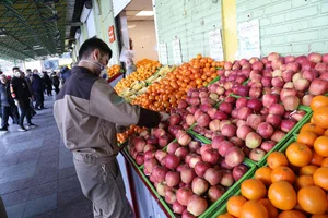میوه وتره بار داریوش