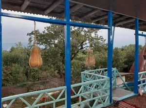 بومگردی گنج رنج پدر 2